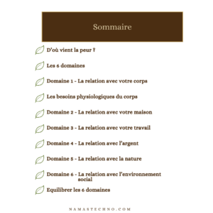 Ebook  » S&rsquo;ancrer-6 domaines à explorer « 